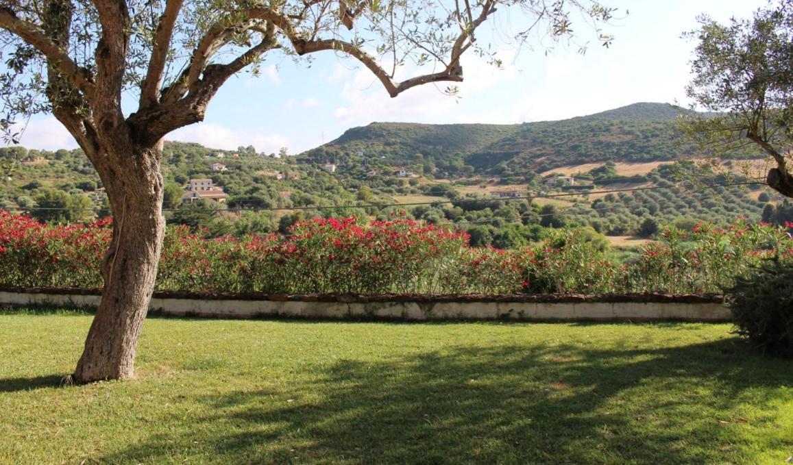 B&B Kapi Country Alghero Bagian luar foto