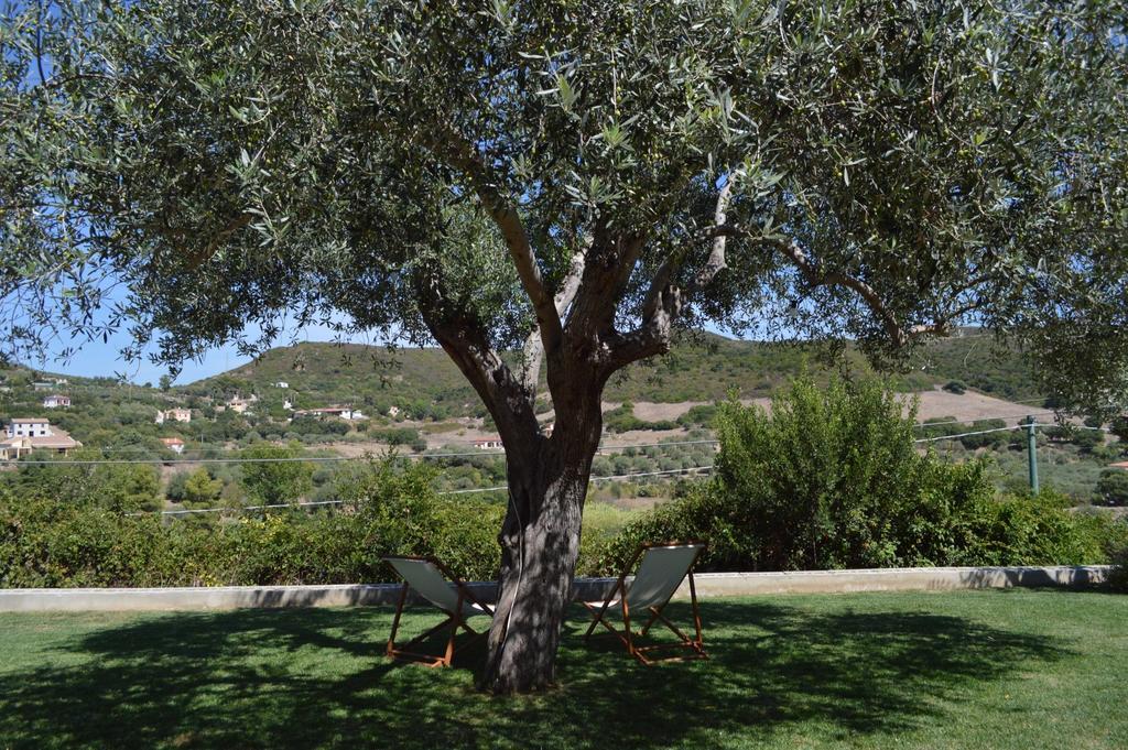 B&B Kapi Country Alghero Ruang foto